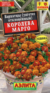 Бархатцы Королева Марго отклоненные купить