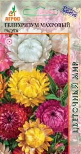 Гелихризум махровая Радуга купить