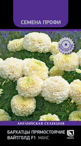 Бархатцы Макс прямостоячие купить