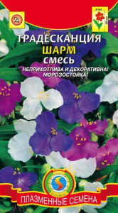Традесканция Шарм смесь  купить