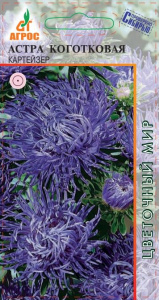 Астра Коготковая Картейзер купить