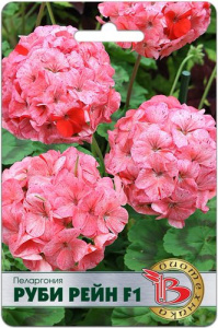 Пеларгония зональная Руби Рейн F1 купить