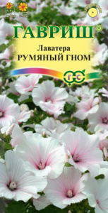 Лаватера Румяный гном  купить