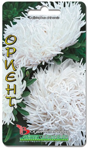 Астра Дракон Ориент 70 шт купить