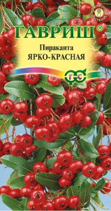 Пираканта Ярко-красная  купить