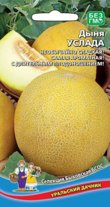Дыня Услада  купить