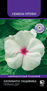 Катарантус Пацифика Полька Дот купить