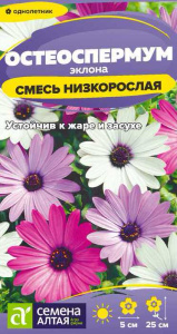 Остеоспермум Смесь эклона низкорослая купить