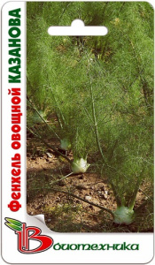 Фенхель Казанова  купить