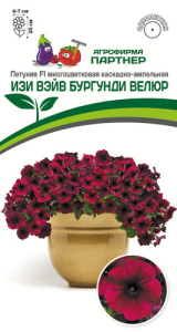 Петуния Изи Вейв F1 Бургунди Велюр  купить