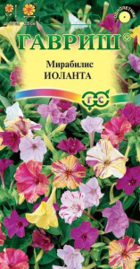 Мирабилис Иоланта  купить