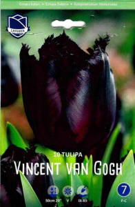 Тюльпан бахромчатый "Vincent van Gogh" (1х10шт) купить