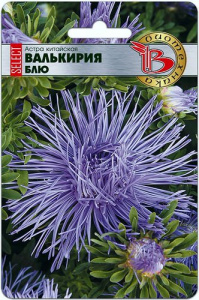 Астра Валькирия SELECT Блю  купить