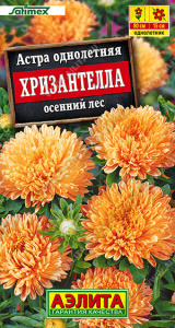 Астра Хризантелла осенний лес Satimex купить