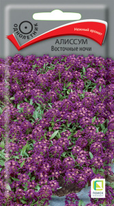 Алиссум Восточные ночи купить