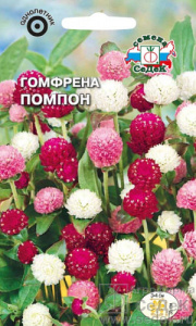 Гомфрена Помпон  купить
