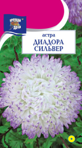 Астра Диадора Сильвер пионовидная купить
