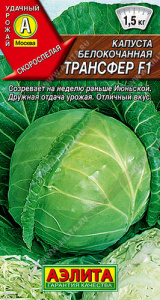 Капуста Трансфер F1  купить