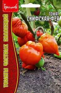 Томат Скифская Фея купить