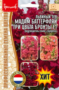 Львиный Зев Мадам Баттерфляй Три Цвета Бронзы купить