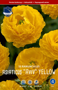 Ранункулюс asiaticus Aviv YELLOW /15шт купить