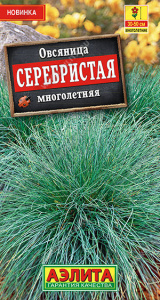 Овсяница Серебристая многолетняя купить