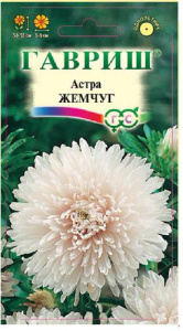 Астра Жемчуг  купить