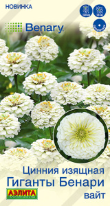 Цинния Гиганты Бенари вайт Спецсерия Benary купить