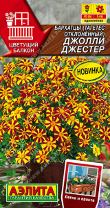 Бархатцы Джолли Джестер отклоненные купить