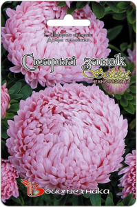 Астра Старый замок селект Нежно-розовый  купить