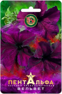 Петуния Пентальфа F1 Вельвет  купить