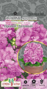 Флокс Промис Лиловый махровый купить