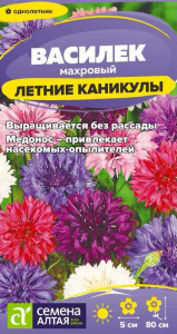 Василек Летние Каникулы махр. смесь  купить