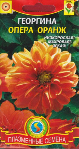 Георгина Опера Оранж  купить