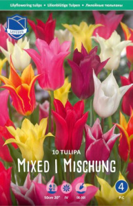 Смесь тюльпанов лилиецветных /10шт купить