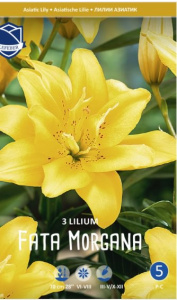 Лилия азиатская double Fata Morgana/3шт купить