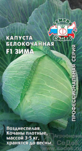 Капуста Зима F1  купить