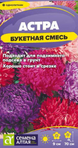 Астра Букетная смесь купить