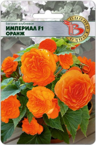 Бегония Империал F1 Оранж клубн. купить