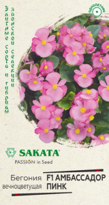 Бегония Амбассадор Пинк F1 вечноцв.  купить