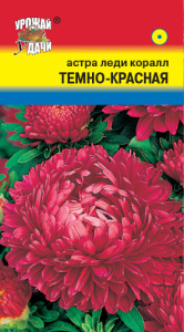 Астра Леди Коралл темно-красная  купить