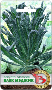 Капуста (листовая) Блэк Меджик  купить
