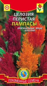Целозия перистая Пампасы  купить