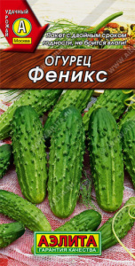 Огурец Феникс  купить