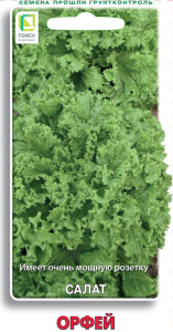 Салат Орфей купить