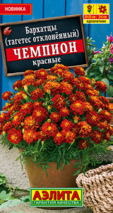 Бархатцы Чемпион красные отклоненные купить