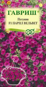 Петуния Парпл Вельвет (Сурфиния)   купить