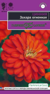 Цинния Захара огненная  купить