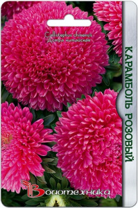 Астра Карамболь Розовый  купить