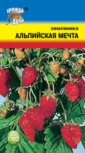 Земляника Альпийская мечта  купить